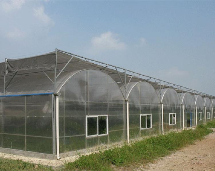 鑫创温室建造PC阳光板大棚 山东PC阳光板大棚 建设PC板温室