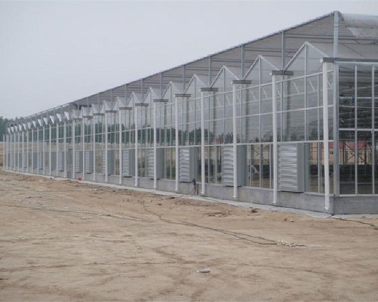 承建阳光板温室 山东PC板连栋温室 温室工程公司建设PC板连栋温室