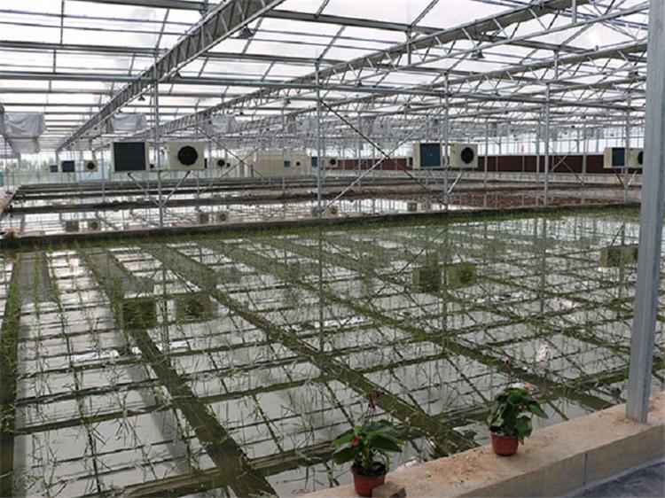 鑫创温室建造阳光板温室 青州阳光板温室 承建阳光板温室