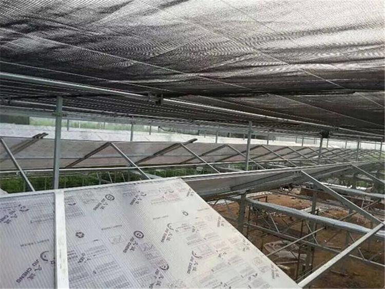 温室工程公司建设PC板连栋温室 山东PC板连栋温室 建设PC板温室