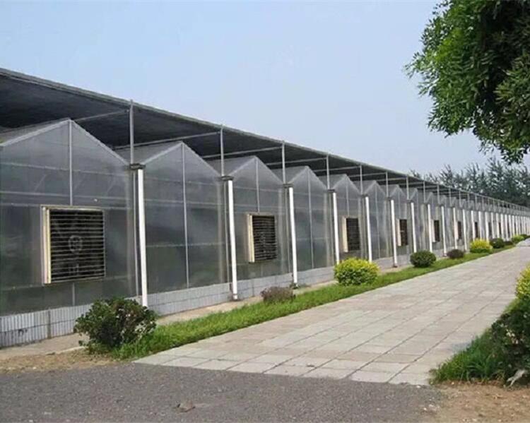 山东PC板温室报价 安装设计PC板温室 PC板温室报价