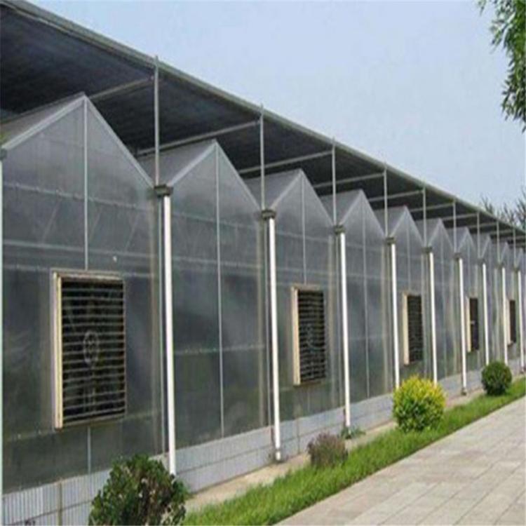蔬菜玻璃温室 智能玻璃建设 山东连栋玻璃温室