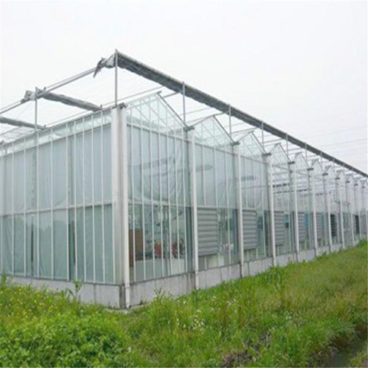 玻璃温室建造商 保质保量 青州连栋薄膜温室