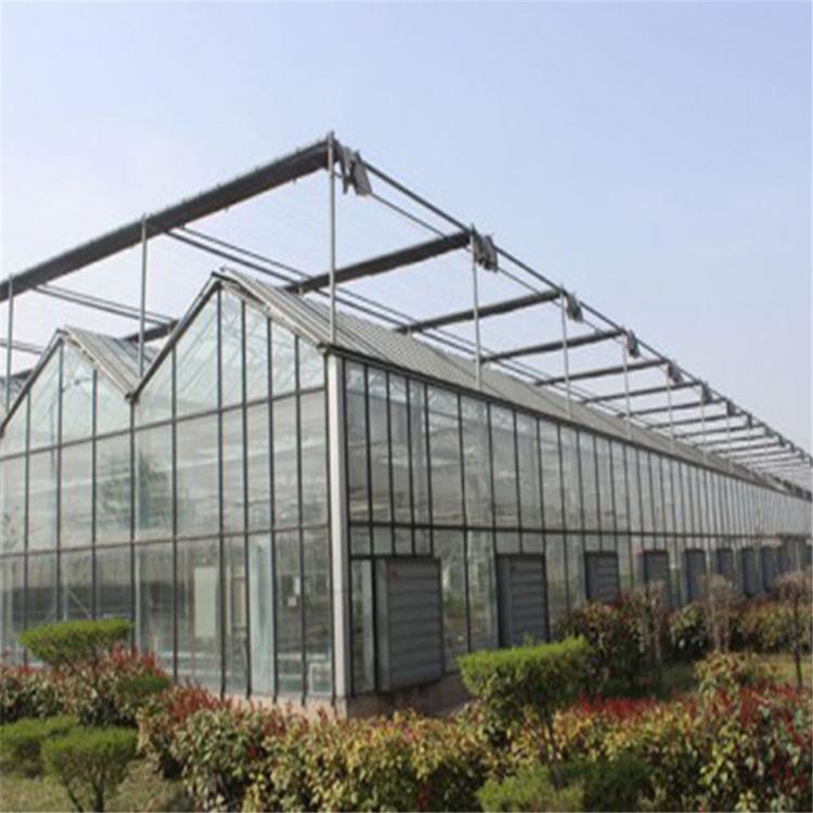 鑫创温室建设公司 连栋薄膜温室 玻璃温室承建