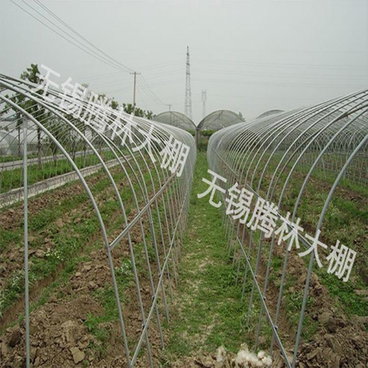 农业蔬菜大棚 单体温室热镀锌蔬菜大棚建设智能蔬菜种植采摘大棚
