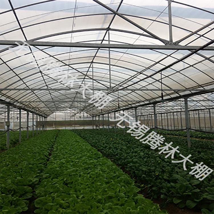 定制批发塑料薄膜种植蔬菜大棚 农用耐腐蚀镀锌管连栋蔬菜大棚