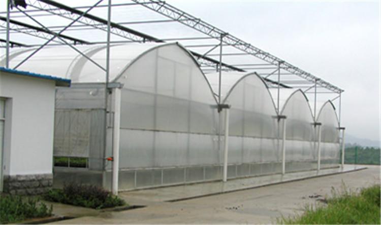 连栋薄膜温室 蔬菜大棚温室温室大棚搭建定制直销 高温大棚