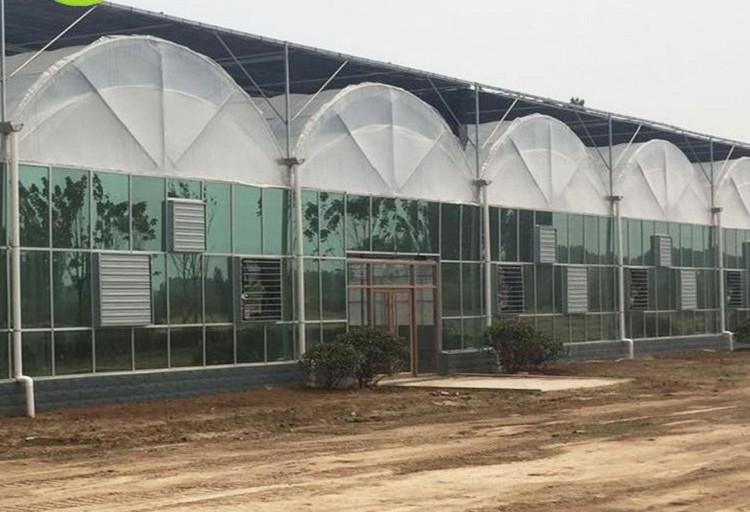连栋温室大棚 温室大棚 双供双膜大棚