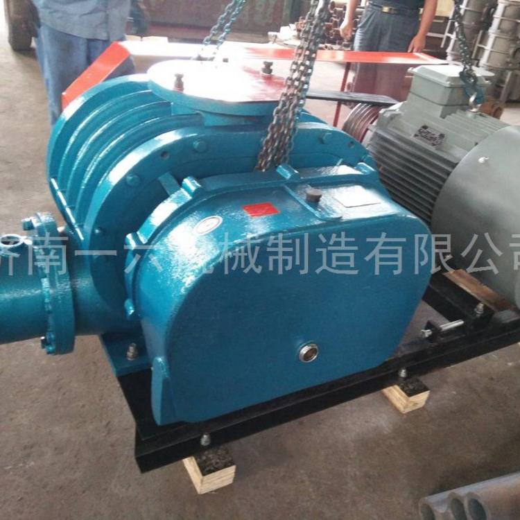 供应特殊气体专用罗茨风机增氧用罗茨增氧机医院用回转风机厂家