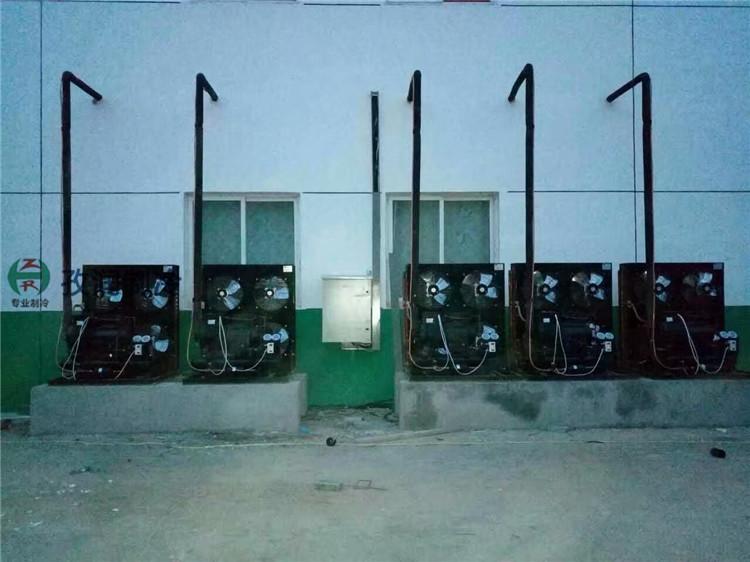 阜阳太和农业冷库-农业项目补贴冷库-种植基地保鲜冷库-成套冷奎设备