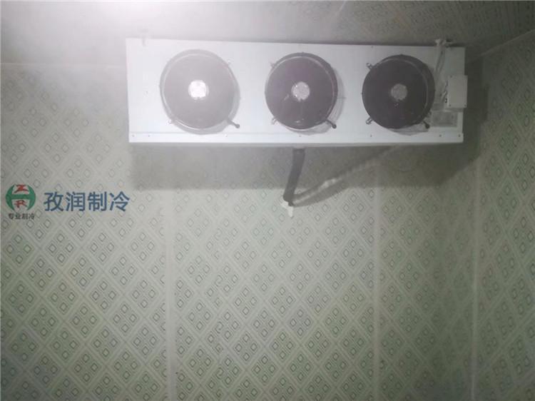宣城泾县冷库建造价格-蔬菜冷库-种植园保鲜库-蔬菜保鲜冷库安装制作