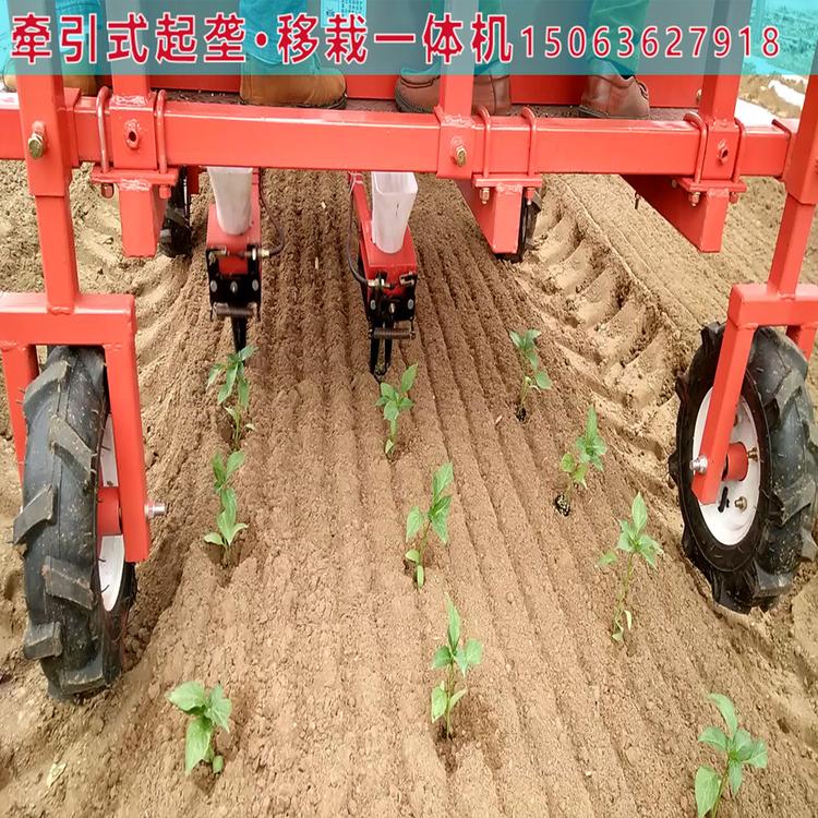辣椒移栽机 娃娃菜移栽机 厂家直销