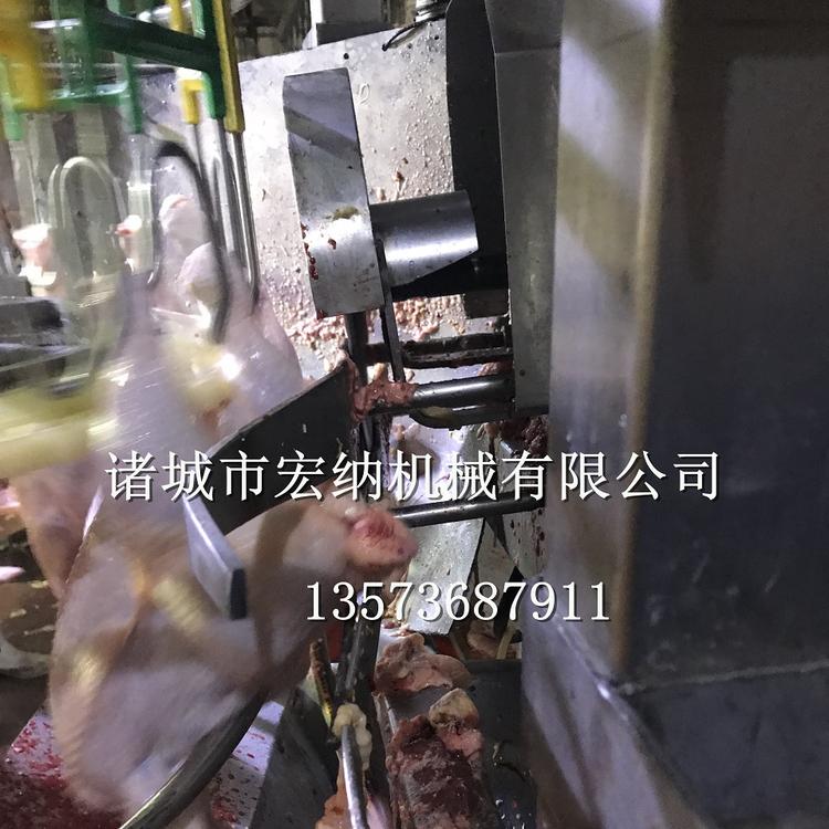销售自动切鸡尾 自动切鸡尾厂家 欢迎咨询