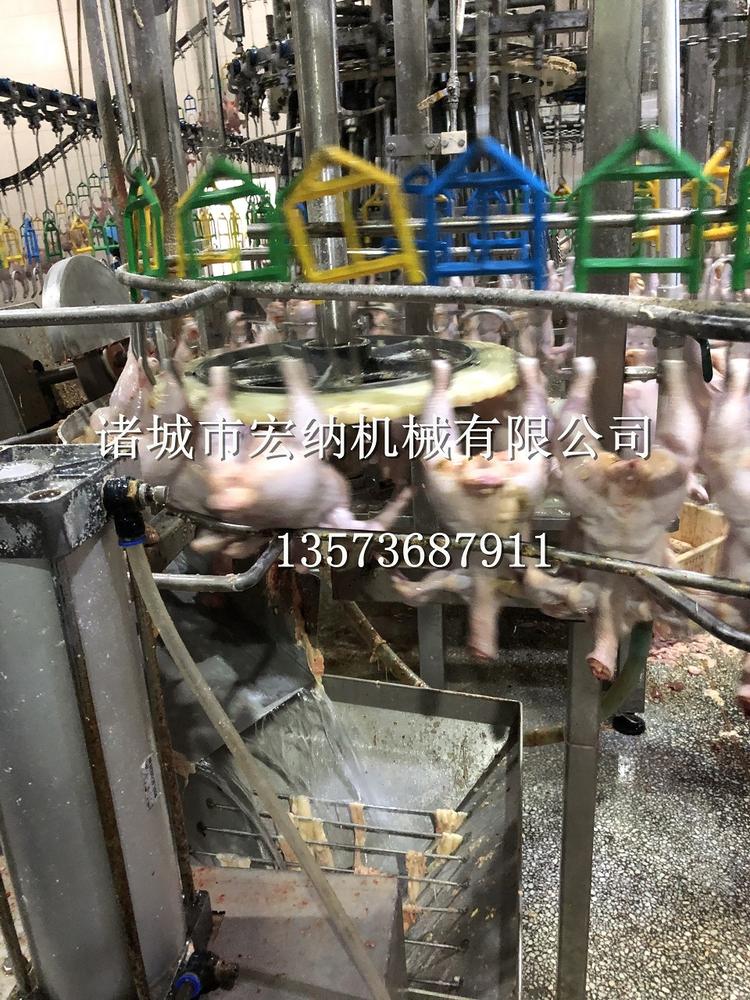 山东自动切鸡尾 自动切鸡尾报价 欢迎咨询