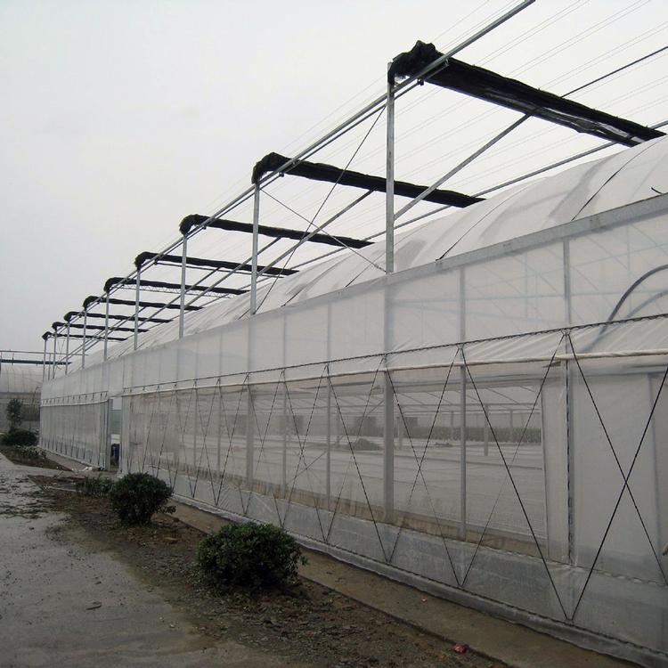 薄膜连体大棚 温室大棚_薄膜温室大棚建造