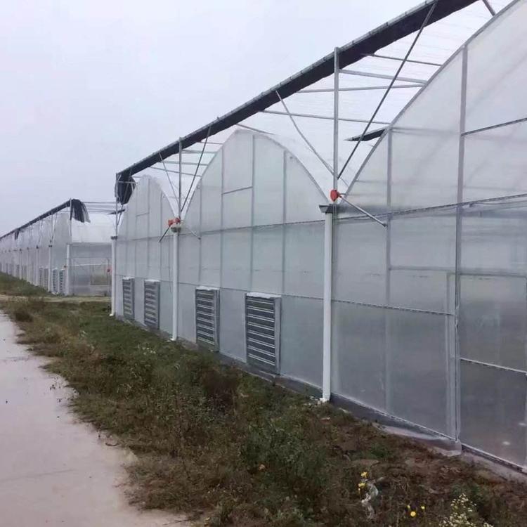 薄膜大棚材料 温室大棚_薄膜温室大棚建设