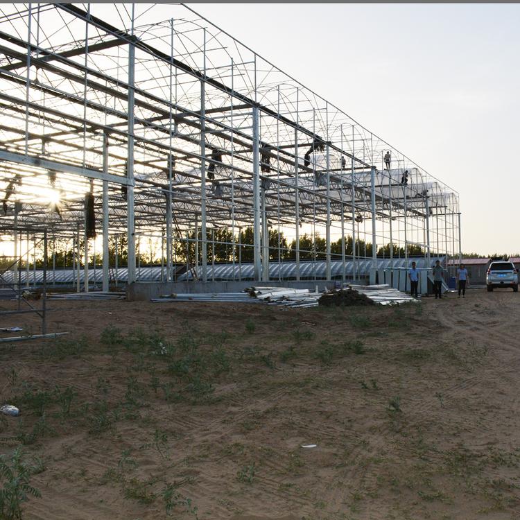 承建连栋温室大棚 PC板温室工程