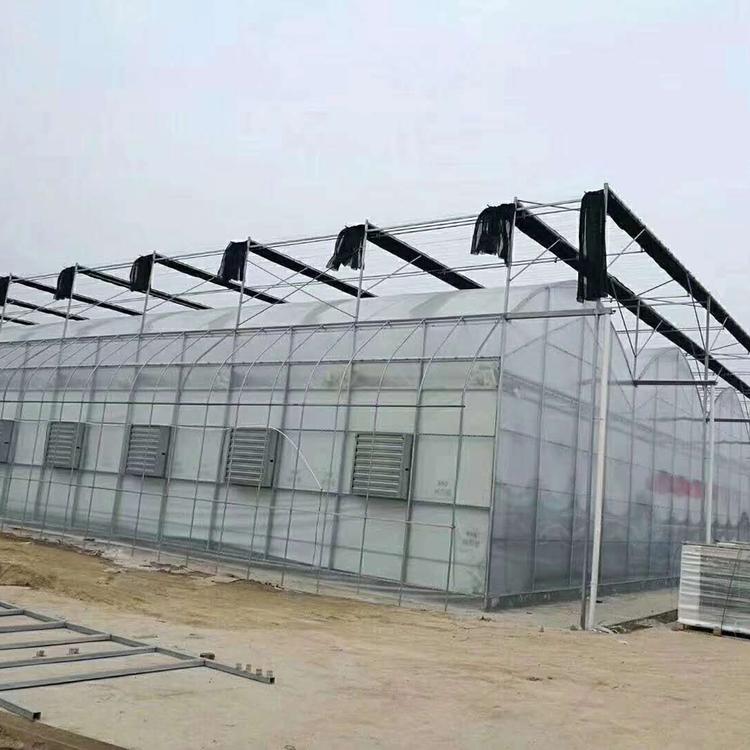 承建温室大棚 阳光板温室大棚价格