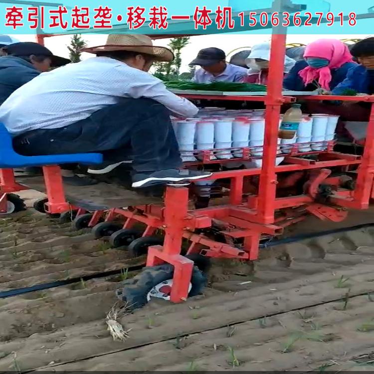生产辣椒移栽机 蔬菜移栽机  辣椒移栽机价格