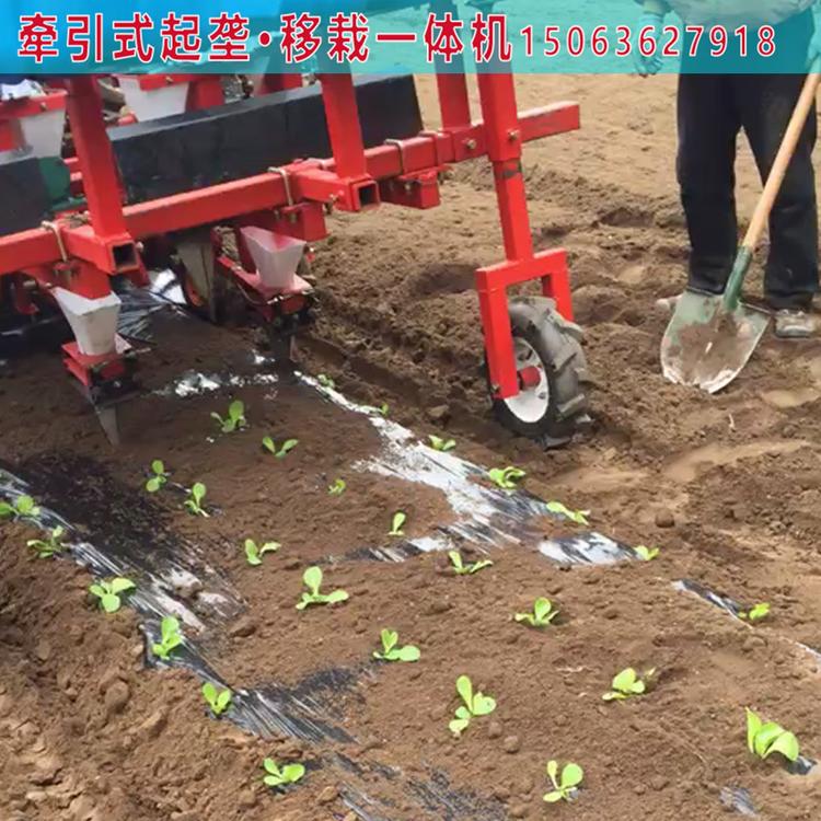 辣椒移栽机 辣椒移栽机生产厂家