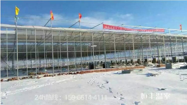 智能连栋玻璃温室  玻璃育苗温室大棚 育苗温室大棚