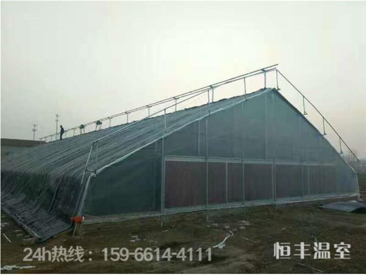 连栋日光温室大棚_恒丰_连栋大棚