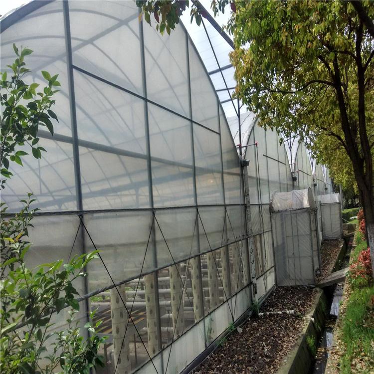定制薄膜温室 鸿川薄膜温室设计 连栋薄膜温室承建
