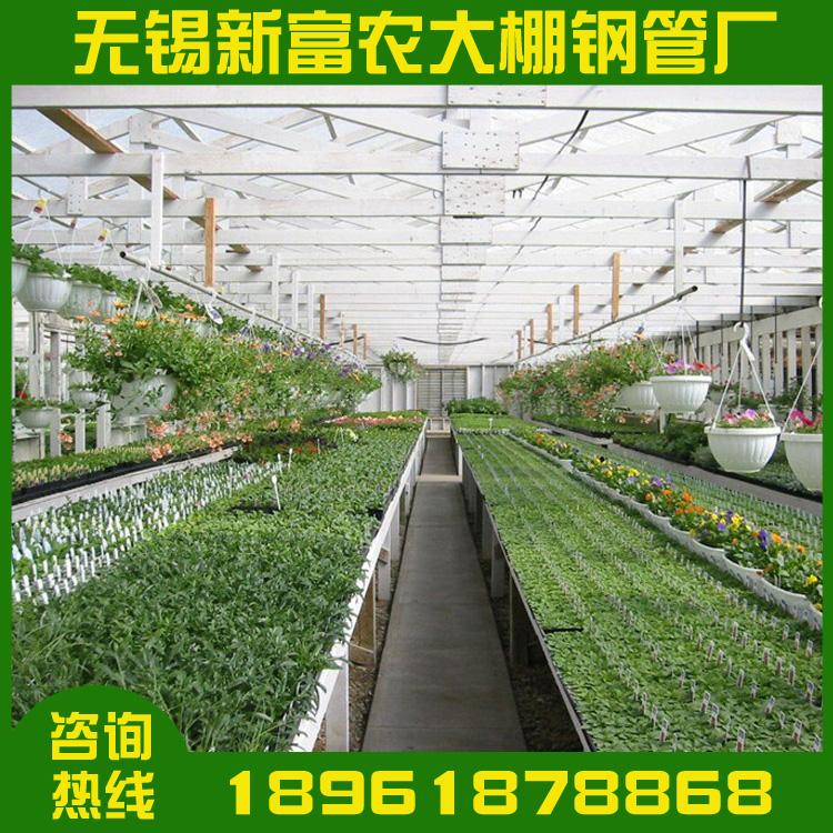 厂家直销 热镀锌钢管连体温室大棚 连栋温室大棚 连栋大棚