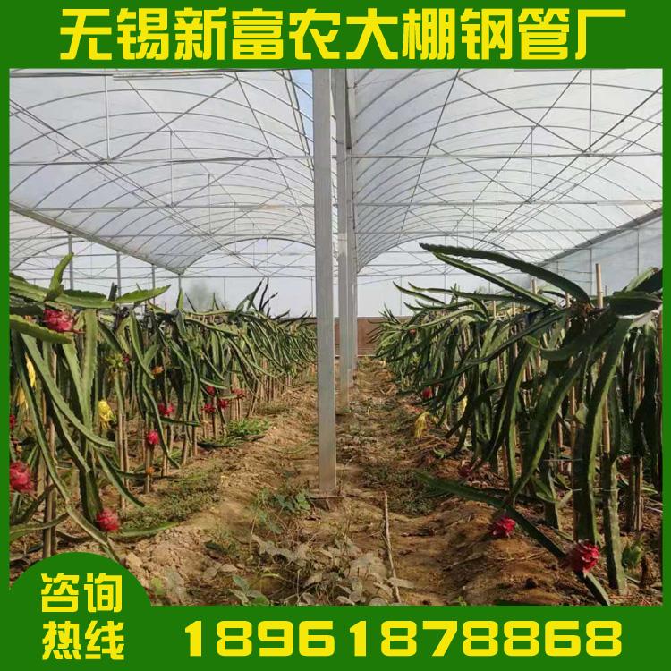 深加工钢构新型农业温室连体大棚厂家焊接走廊棚养殖大棚配送到厂