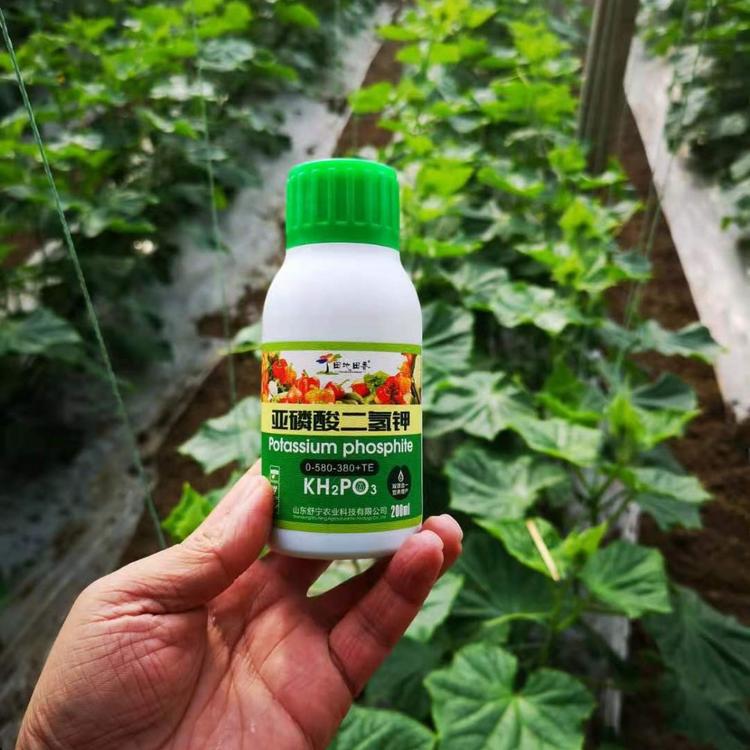 防病抑菌 促根促花 控梢壮梢 亚磷酸二氢钾蔬菜叶面肥