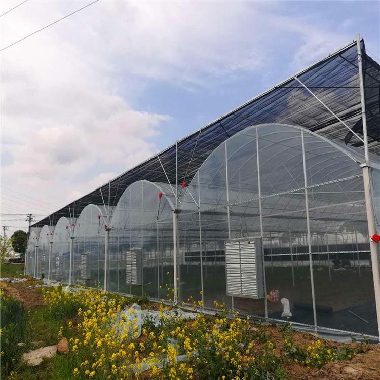 赣州温室大棚骨架钢管定制蔬菜养殖大棚全套农业连体连栋大棚钢架配件连栋温室大棚厂家直销