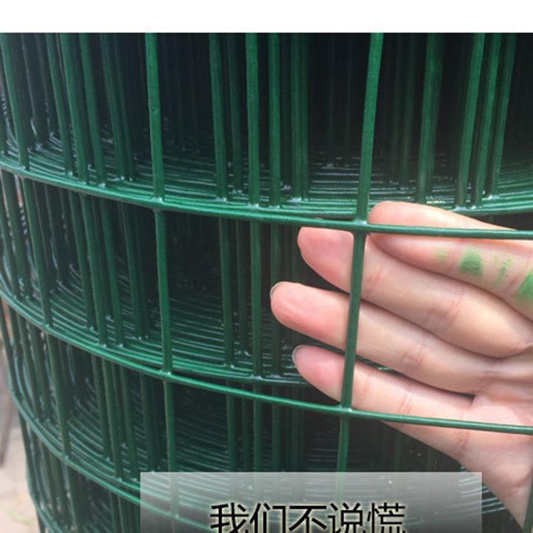 大邑养殖围栏网-果园围栏网-鱼塘铁丝网-绿色围栏网