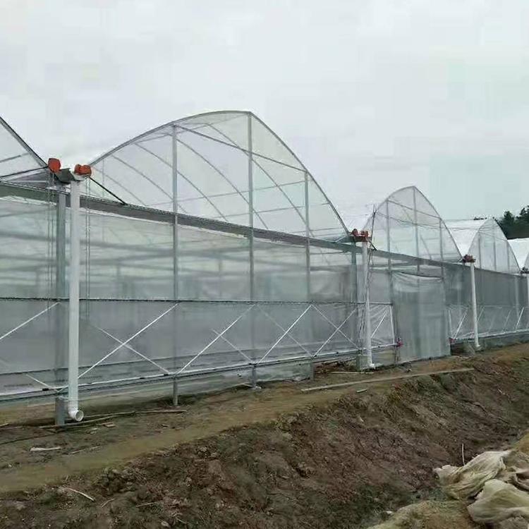 常德热镀锌管大棚 连栋温室大棚 椭圆管大棚  钢架大棚 蔬菜大棚 葡萄大棚实力厂家