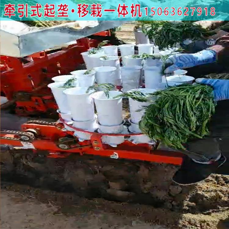 苍术移栽机 药材移栽机生产厂家 现机出售
