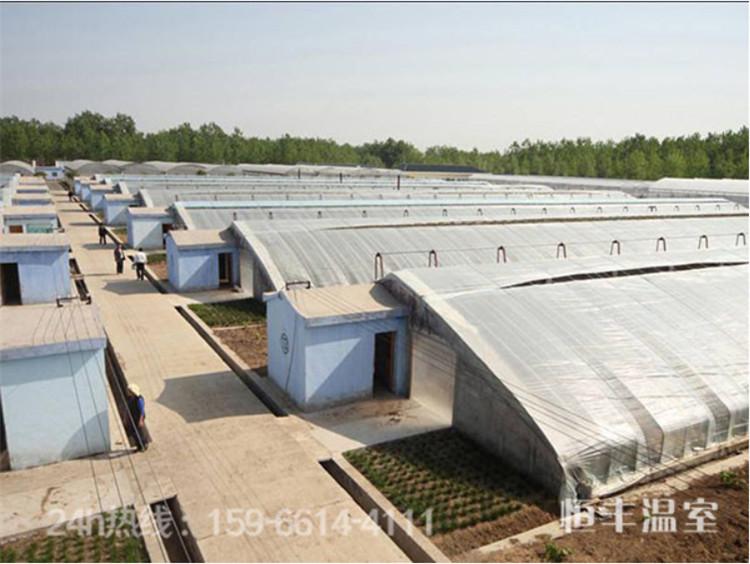 日光温室材料 养殖日光大棚材料 蔬菜日光温室大棚工程
