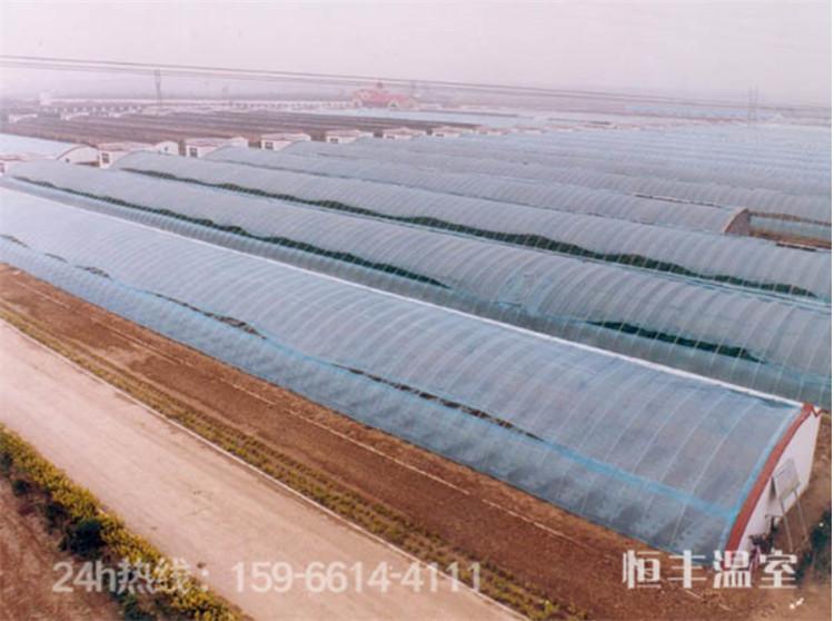 日光温室大棚 蔬菜大棚 暖棚——恒丰温室制造