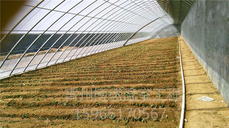 连栋日光温室大棚     经销商搭建