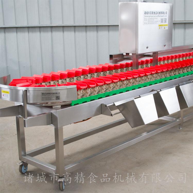 分选机 多种类 分拣机 定量分级机火卖全国