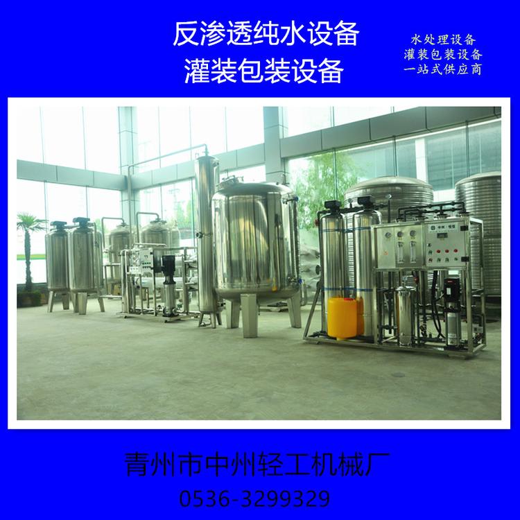 反渗透设备 山泉水纯净水设备 1-100吨反渗透纯水设备定制 山东反渗透水处理设备厂家