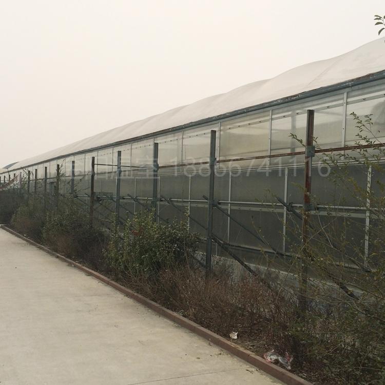 温室大棚厂家_玻璃温室大棚_纹络温室大棚-青州市金阳温室工程