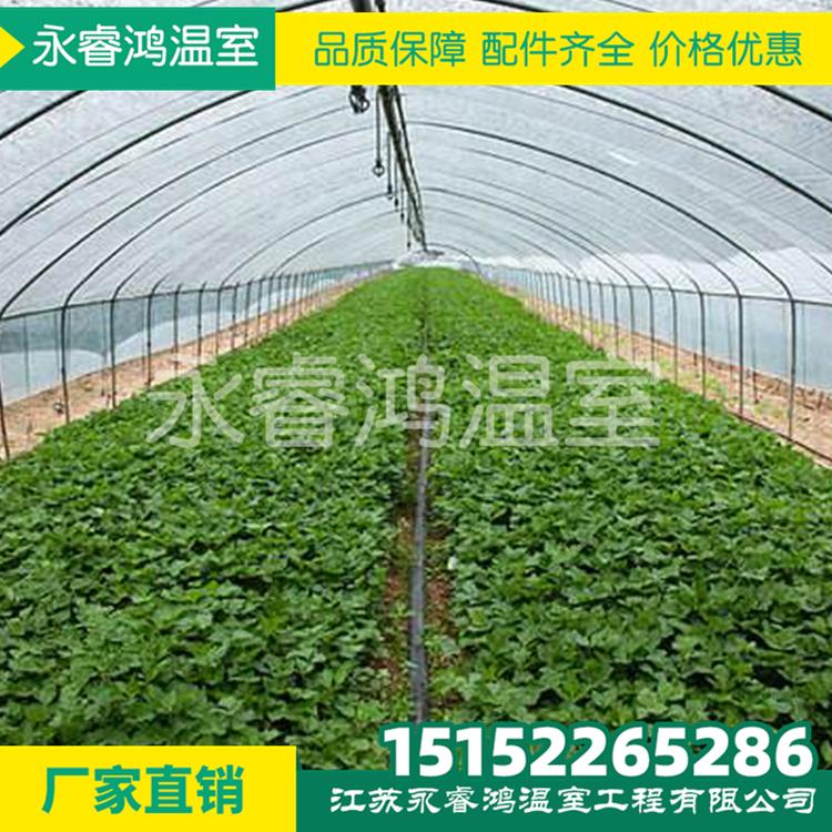开封温室大棚骨架钢管定制蔬菜养殖大棚全套农业连体连栋大棚钢架配件连栋温室大棚按需定制