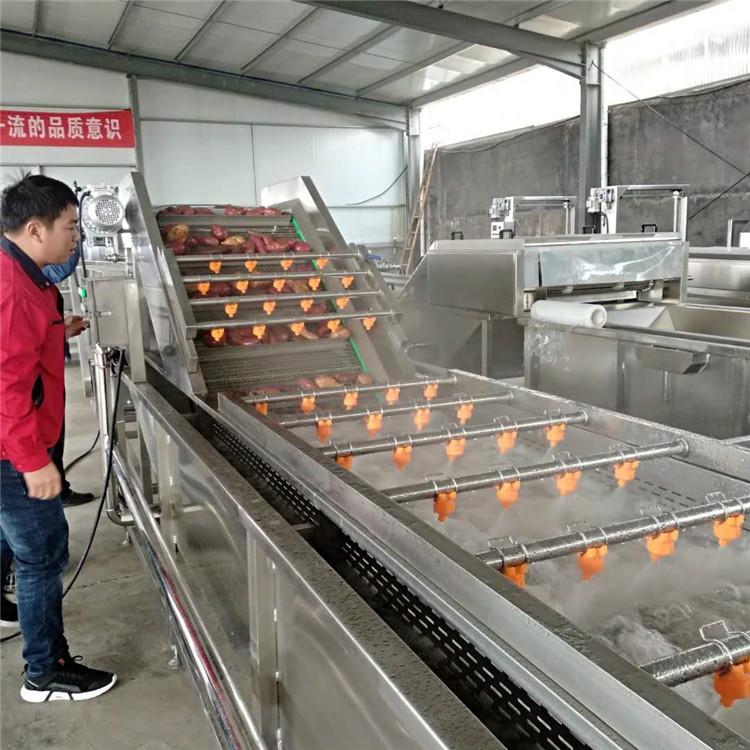 广西钦州松茸深加工设备 菌类清洗漂烫冷却生产线 滑子菇蒸煮流水线 厂家直销价