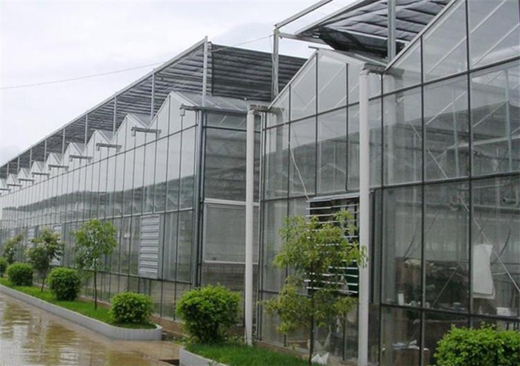 玻璃温室餐厅 智能连栋温室工程 蔬菜大棚设计公司