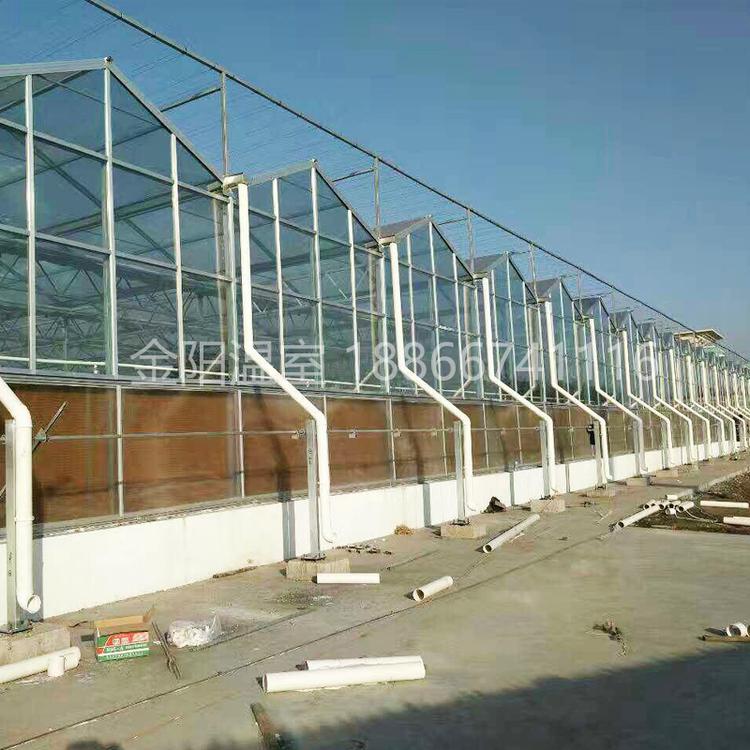 玻璃温室报价 玻璃温室大棚建设 玻璃大棚专业承建  青州金阳温室