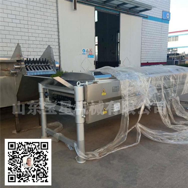 家禽卧式脱毛机厂家 卧式脱鸡毛机价格 卧式脱鸭毛机视频