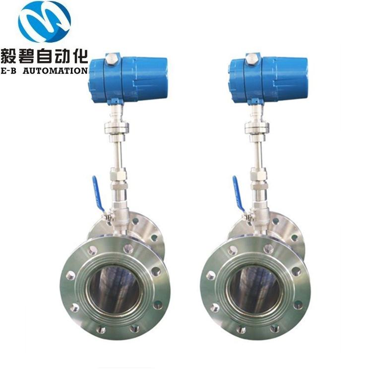 EBRSL-DN80一体式气体质量流量计 DN50热式气体流量计厂家直销