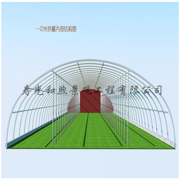简易连栋温室大棚 主要用于蔬菜春季早熟栽培和秋季延后栽培 日光温室