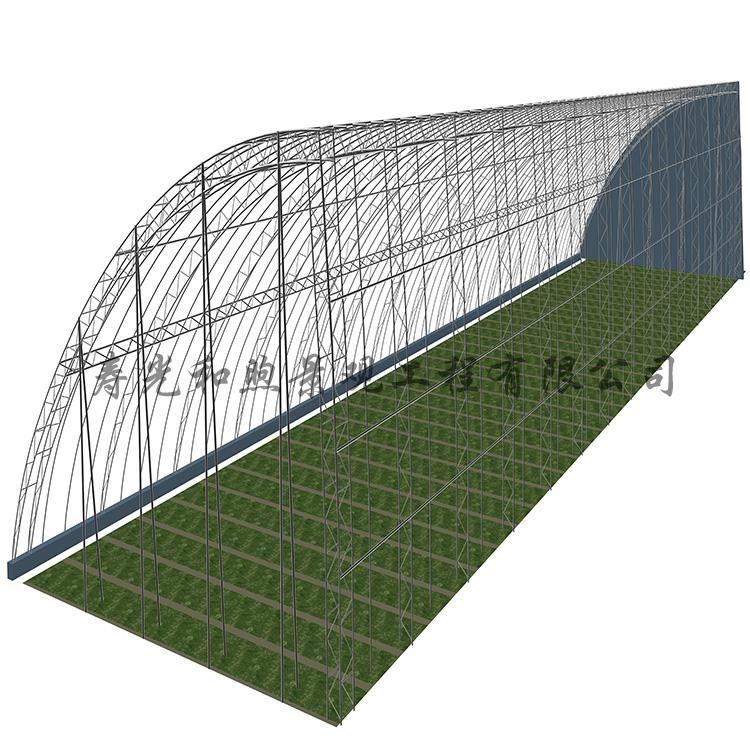 山东日光温室大棚 保温性能好  日光温室大棚设计