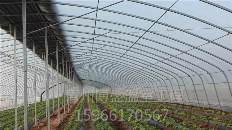 设计智能日光花卉温室 智能温室  安装智能温室 温室大棚