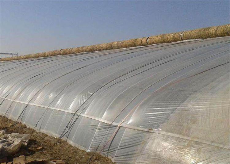 日光温室大棚建造  农用智能温室建造